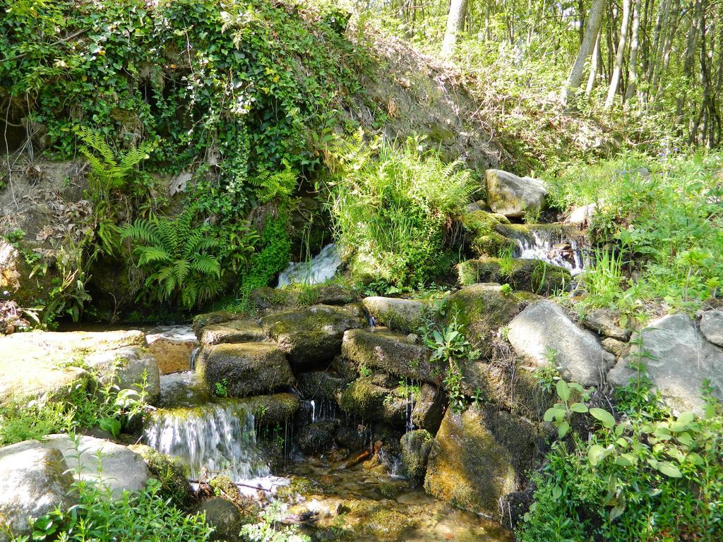 Quinta Lamosa Agroturismo Arcos de Valdevez Eksteriør bilde